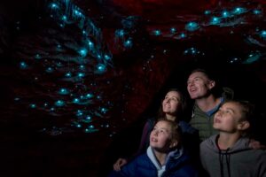 te anau glowworm caves south island family road trip