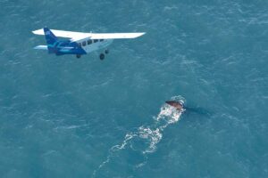 wings over whales kaikoura new zealand south island itinerary 14 days