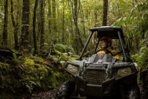 on yer bike greymouth New Zealand Family holiday packages